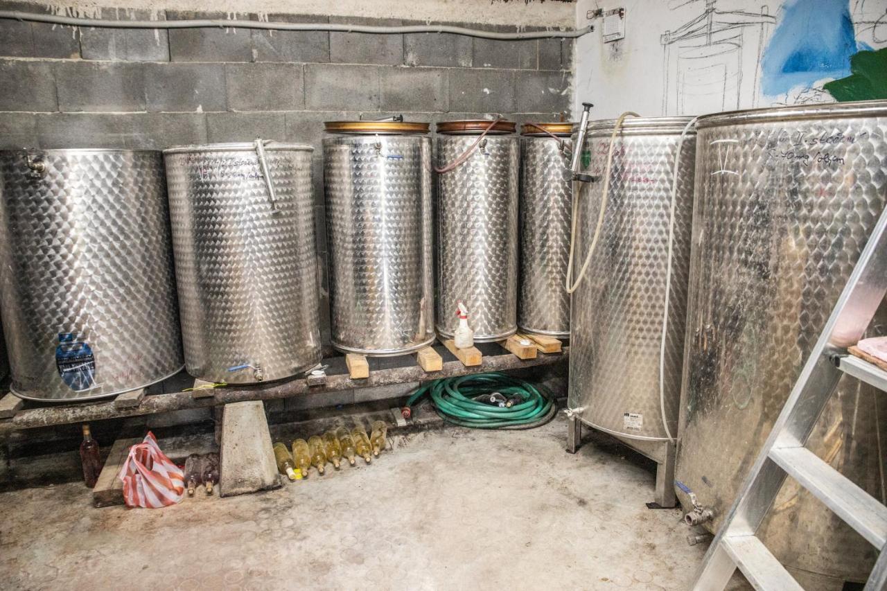 Vinný sklep Kovárna - Nad Presovnou Rohatec Exterior foto